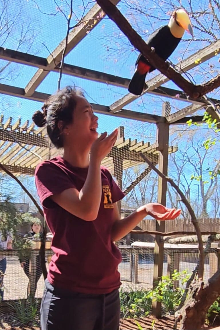 Veterinary Dermatologist in Denver, CO Dog & Cat Dermatology